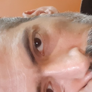محمود التركي 