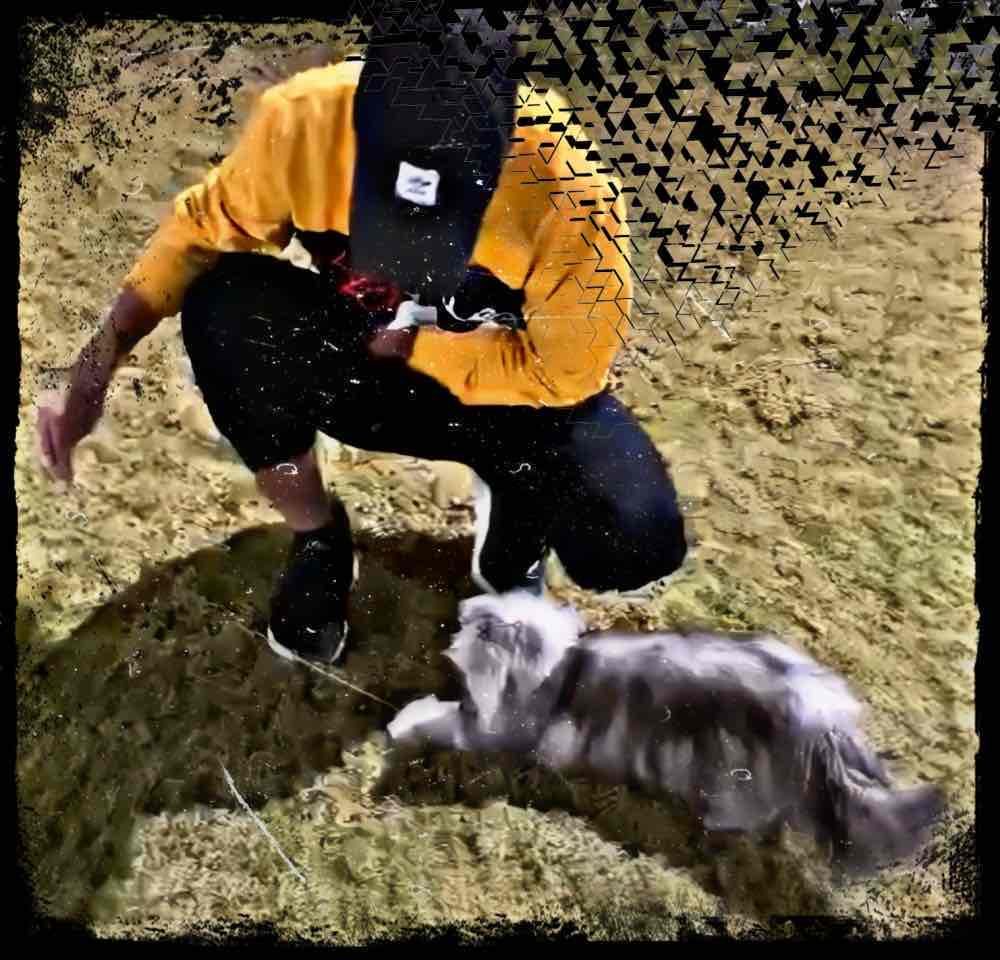 وسام الخرجي