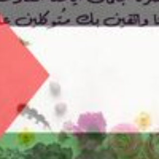 أميرة احمد