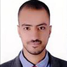Amro Gamal