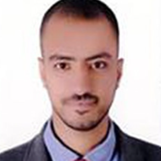 Amro Gamal