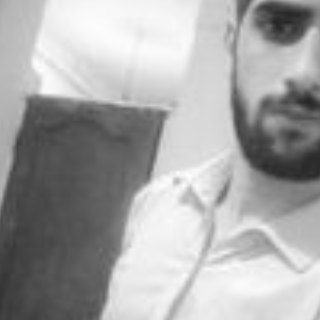 Hesham Alashmony