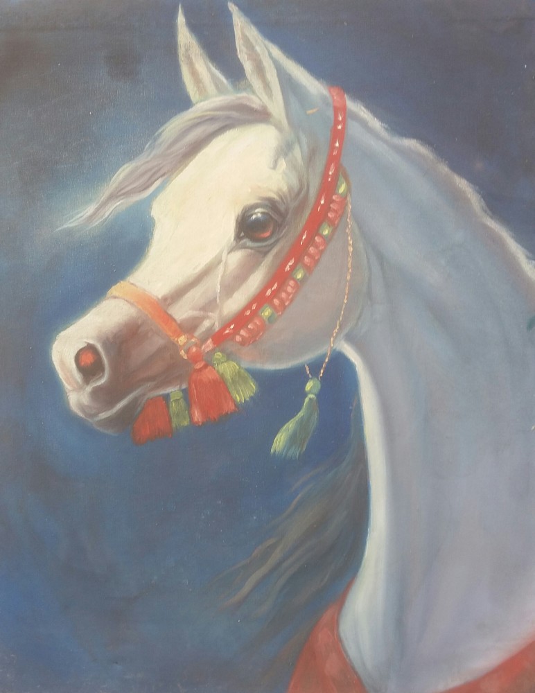 Amjed Alswedy
