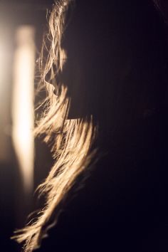 أروى سامي