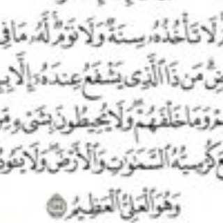 أية أمين محمد