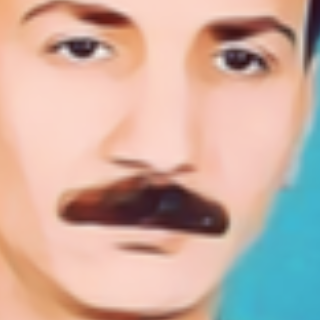 محمد سلطان