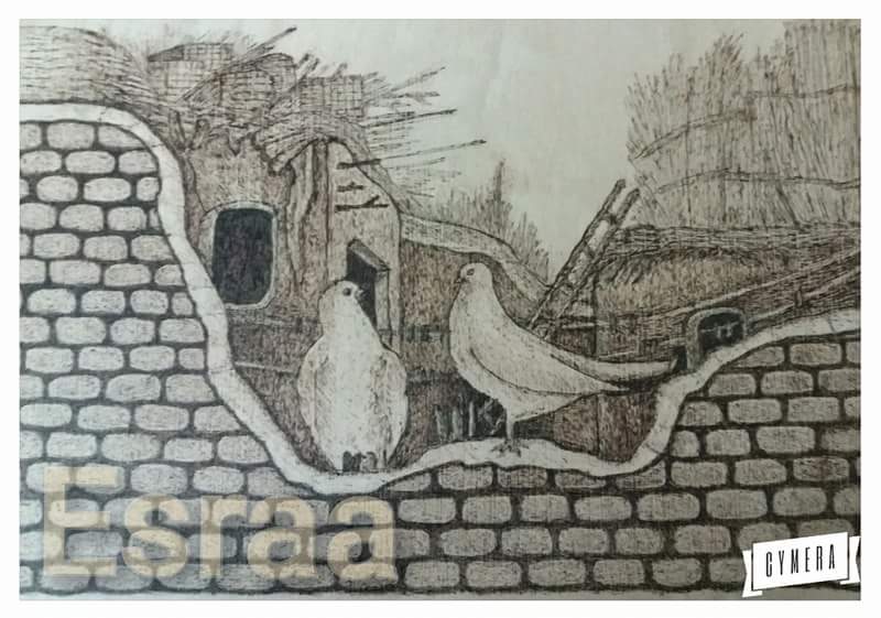 Esraa Ouda