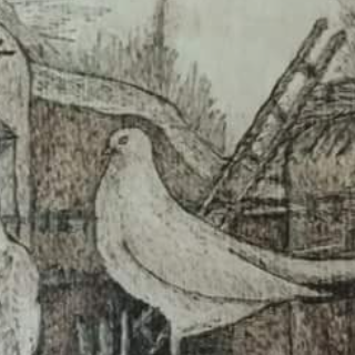 Esraa Ouda