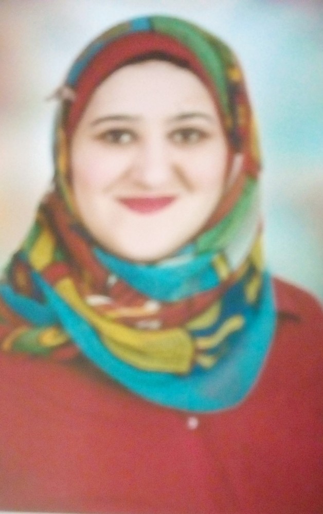 Noha Alhenawy