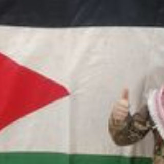 سناء طنبوز
