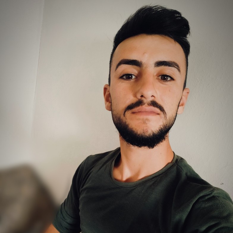 Ali Alshamale