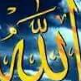 نجلاء عبد العزيز