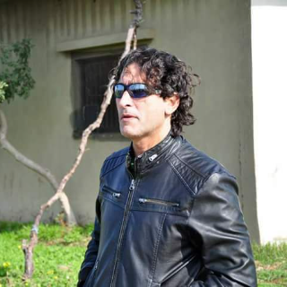 مهيب ددشي