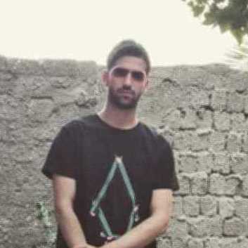 Hesham Alashmouny