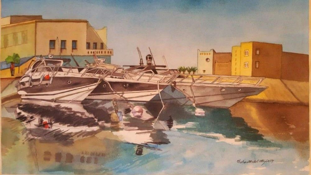 Red Sea Boats