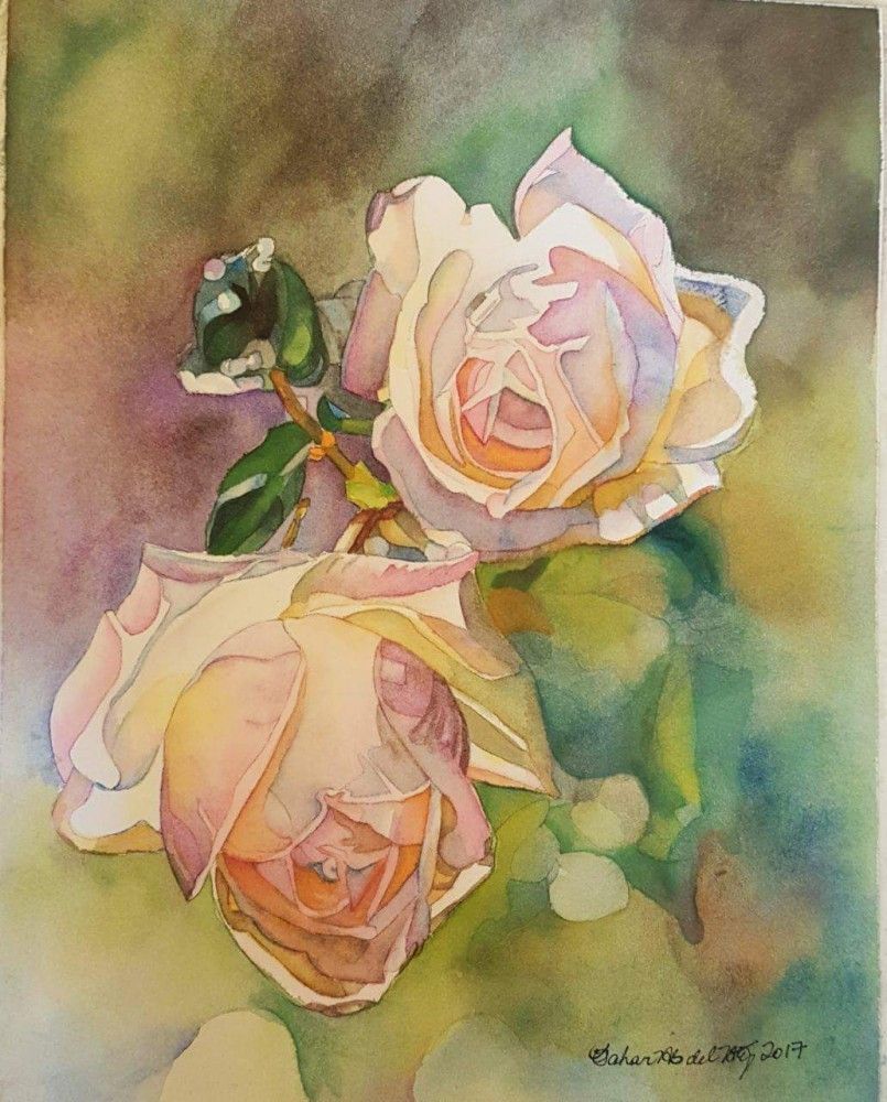 Roses Tenderness
