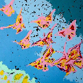 Butterflies above the river