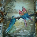The Beauty Of Birds