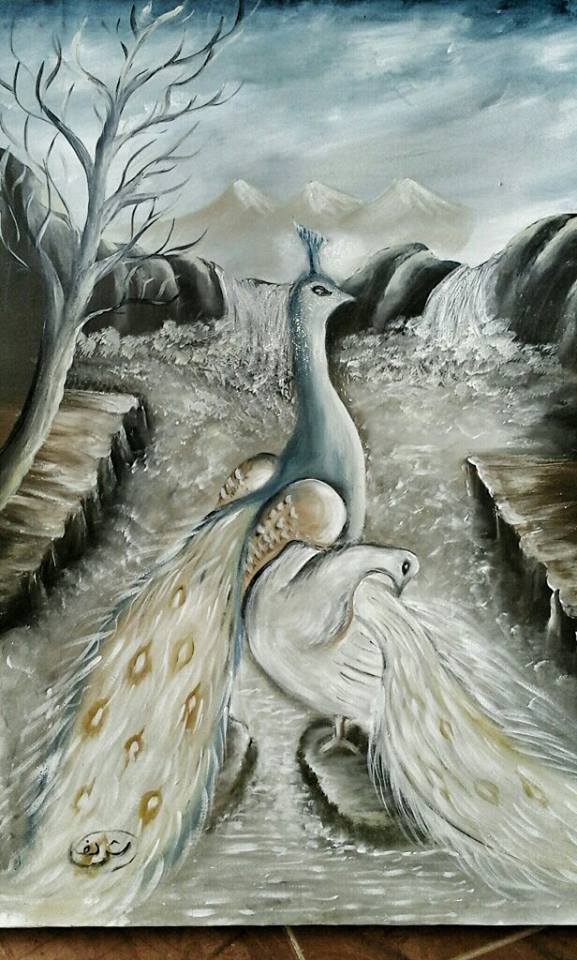 Peacock