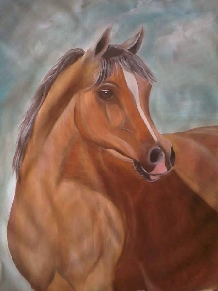 Horse Beauty