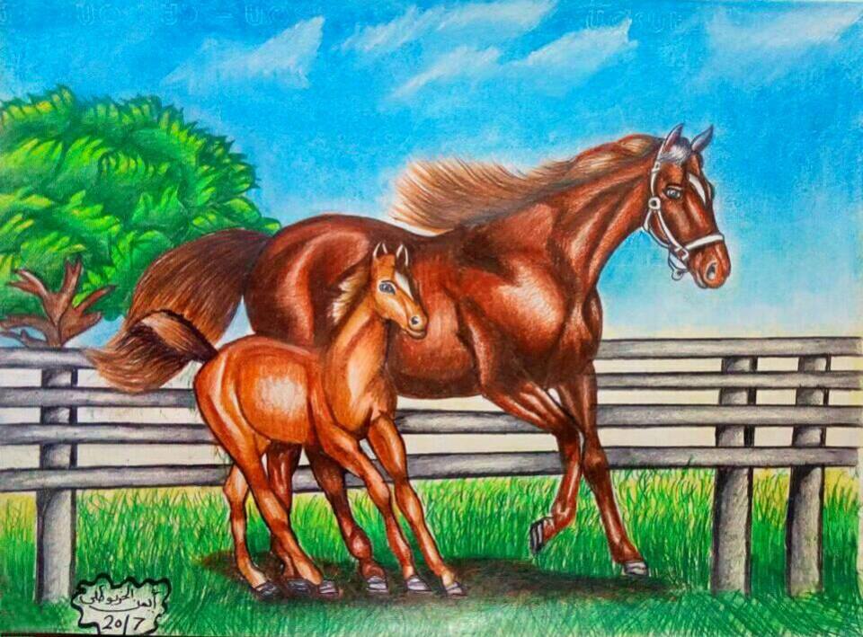 Beauty of horses
