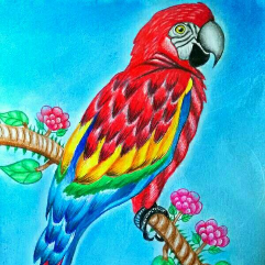 The parrot
