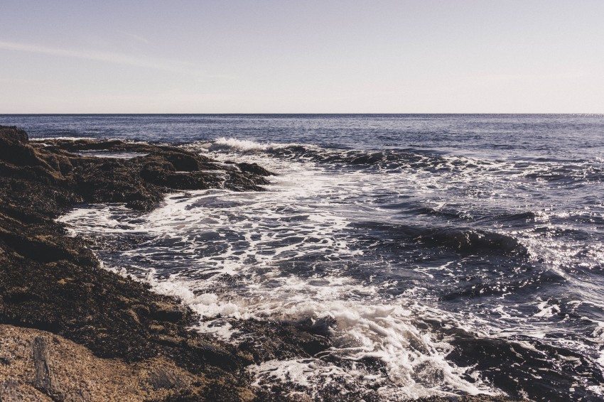 Land scape