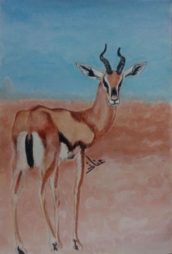 Deer
