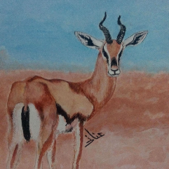 Deer