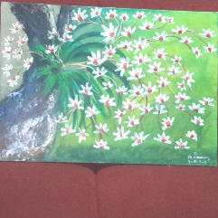 The Joy of Daisies