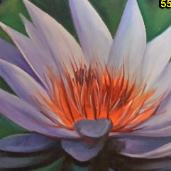 Louts Flower