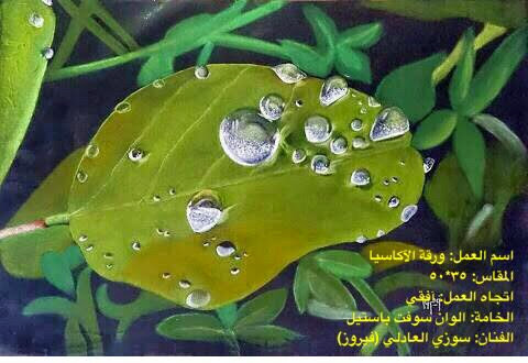 Acacia Leaf