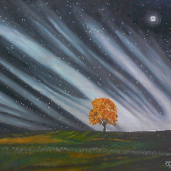 Night Lights