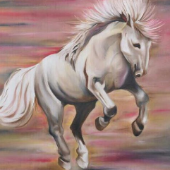 Freedom