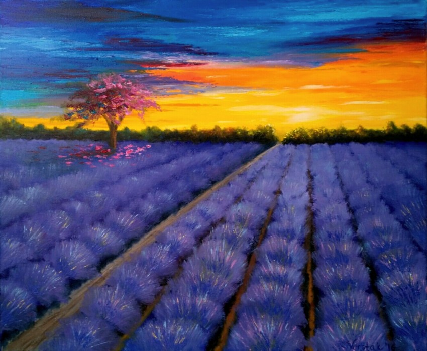Lavender Field