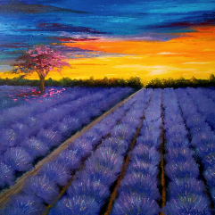 Lavender Field
