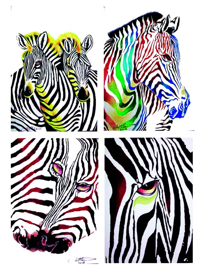 Zebra Collection