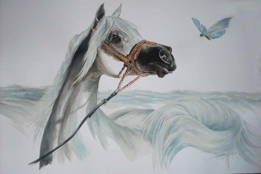The White Horse & The Butterfly