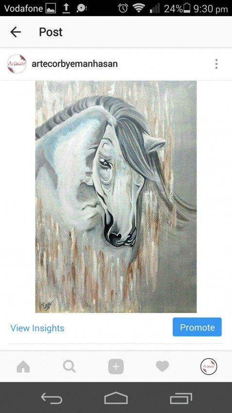 The Silver Horse