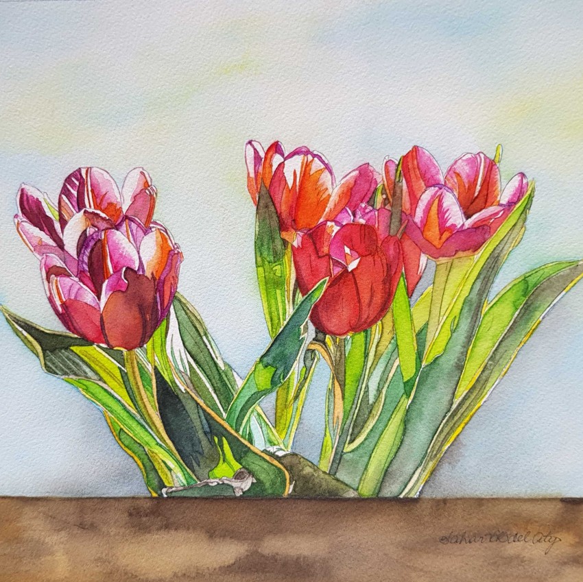 Tulips