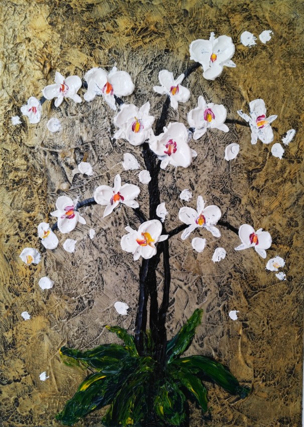 White orchids