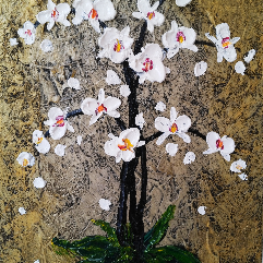 White orchids