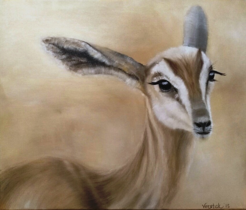 Gazelle