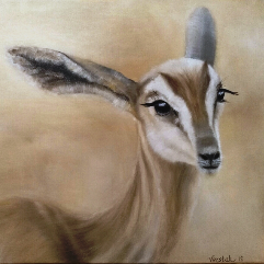 Gazelle