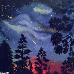 Night Beauty