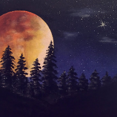 Forest Moon