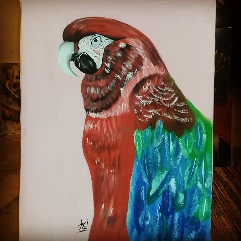 الببغاء ٢
