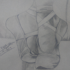 The Ballet Dancer
