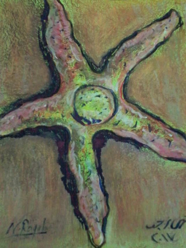Sea Star