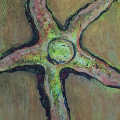 Sea Star